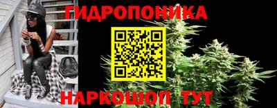 крисы Дубна