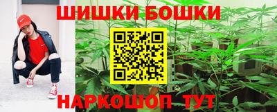 крисы Дубна